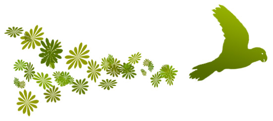 Chirp.ch - Finde deine Liebe. Das kostenlose Partnerportal der Schweiz